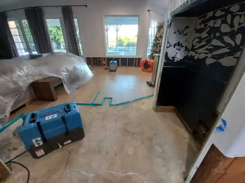 Water extraction and drying process